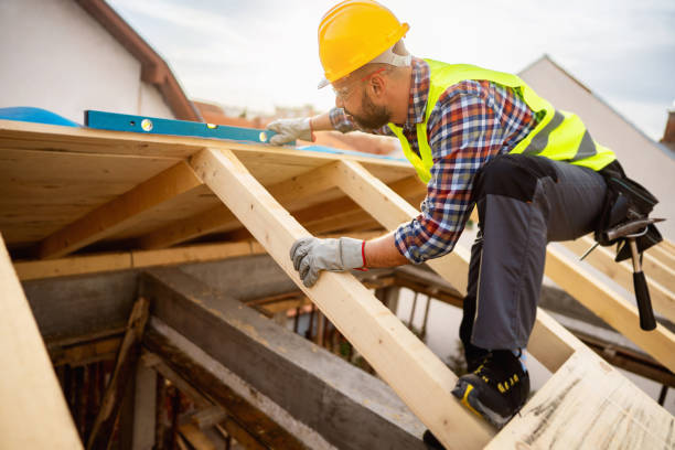 Best Metal Roofing Contractor  in Chaparral, NM