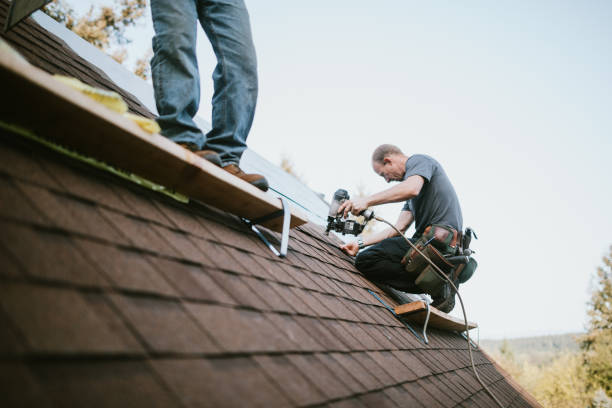Quick and Trustworthy Emergency Roof Repair Services in Chaparral, NM